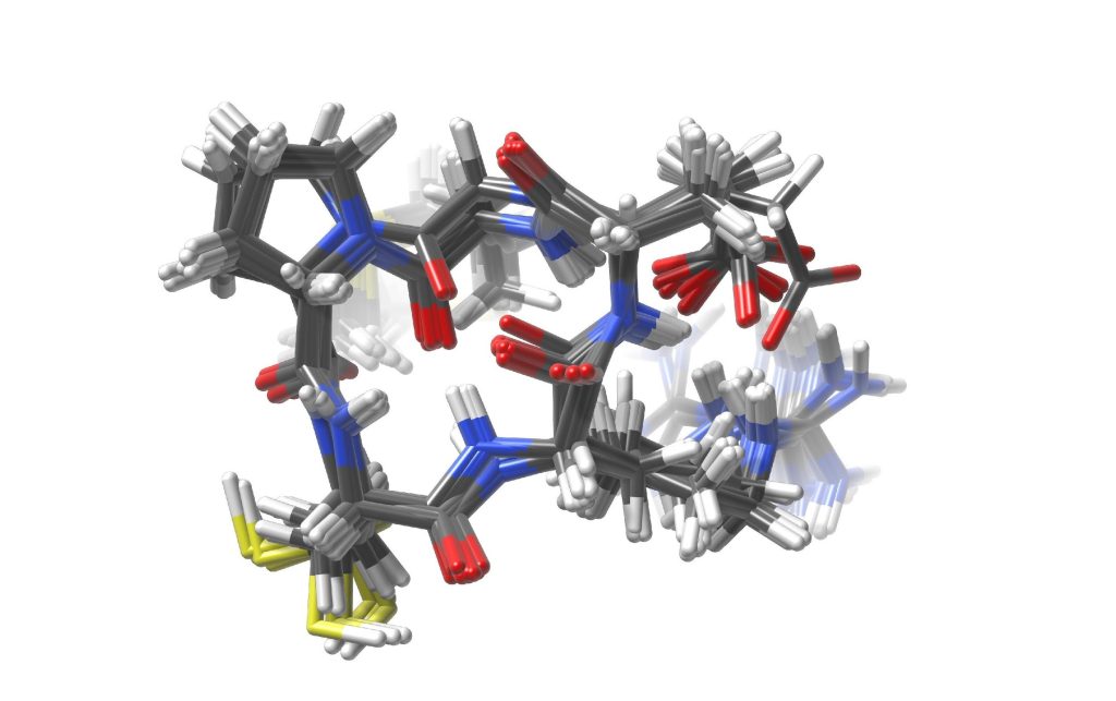 Macrocyclic peptide and a small ensemble generated with CREST
